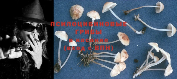 шишки Алексеевка