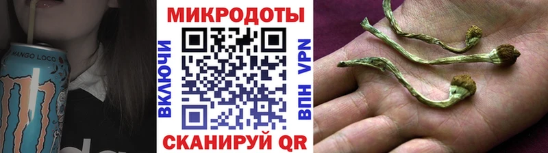 цены OMG как войти Галлюциногенные грибы MAGIC MUSHROOMS Юрьевец